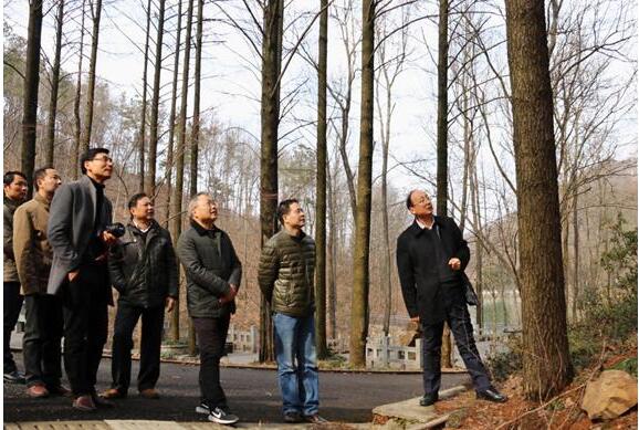 首页|壹定发EDF最新官方网站