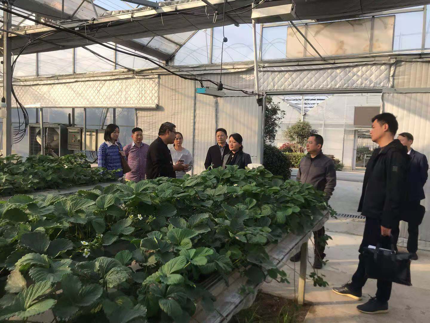 首页|壹定发EDF最新官方网站