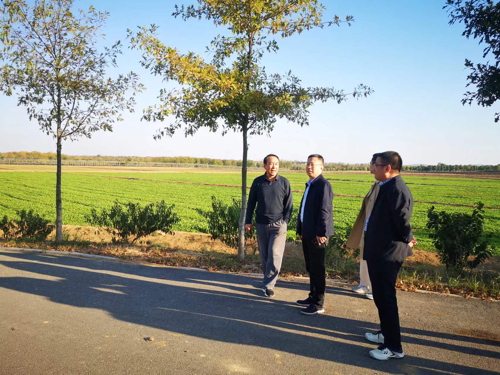 首页|壹定发EDF最新官方网站