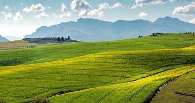 首页|壹定发EDF最新官方网站